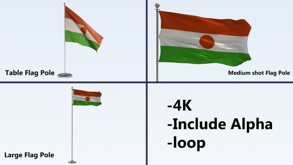 Niger Flag Pole Pack 4k-Loop alt