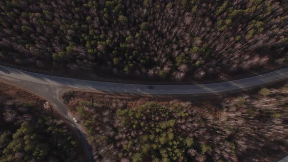 Curve of highway road between deep forest
