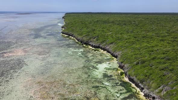 Coast of Zanzibar Island Tanzania Covered with Thickets alt