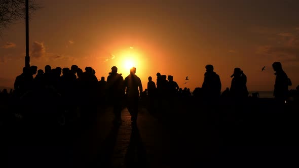 People Silhouette In Sunset 6