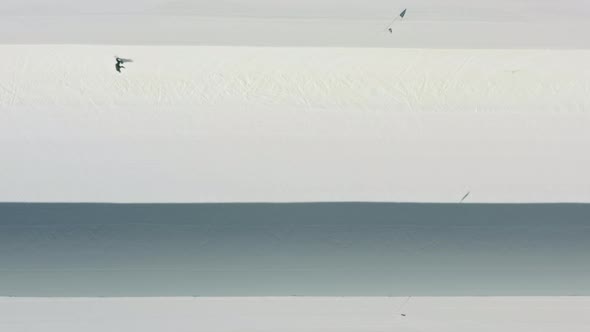 Extreme Snowboard Slalom Free Ride Still Background Footage Snowboard Sport alt