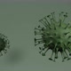 COVID-19 coronavirus cells rotation 360 degrees seamless loop. Green gamma. - VideoHive Item for Sale