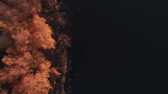 Rafting on the Forest River on Beautiful Sunny Autumn Days alt