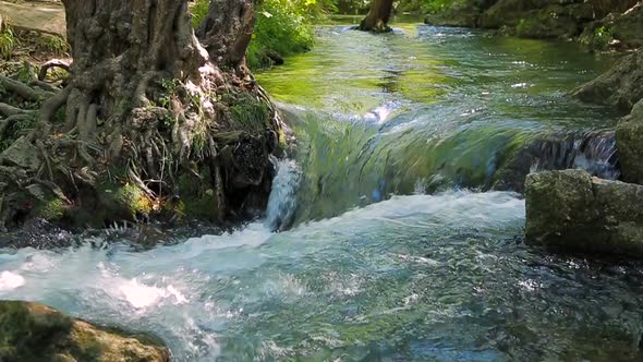 Small Waterfall Washes the Roots of a Tree