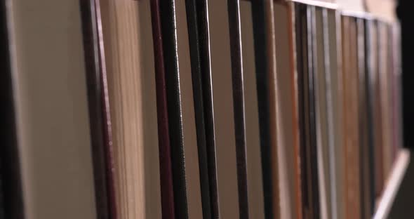Many Books Organized in Shelves in a Big Bookstore alt