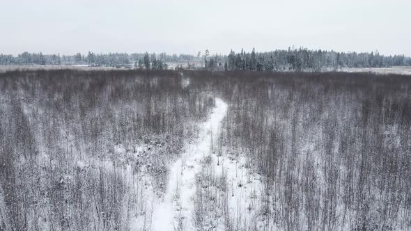 Winter Snow Covered Field with Forest and Path Flying alt