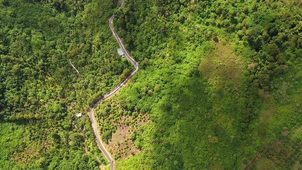 AH - Village Road With Trees (4) alt