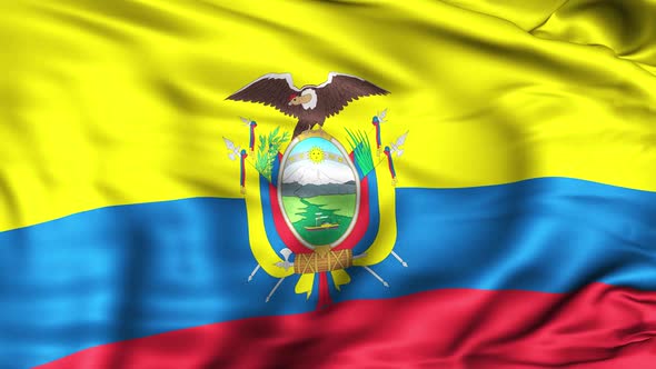 Ecuador Flag alt
