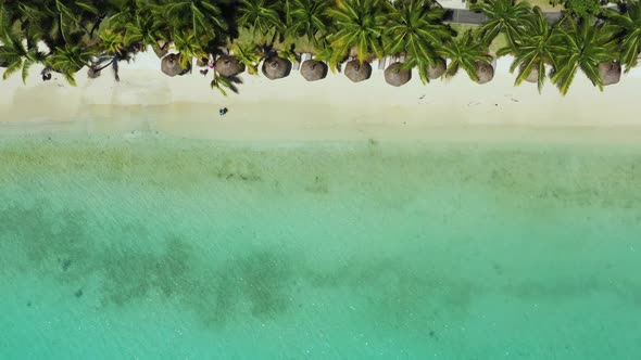 Beach along the waterfront and coral reef and palm trees, Mauritius, Africa, Pier near the beach of alt