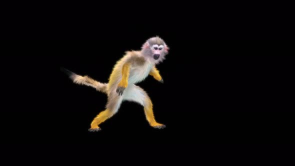 Monkey Dance 4K alt
