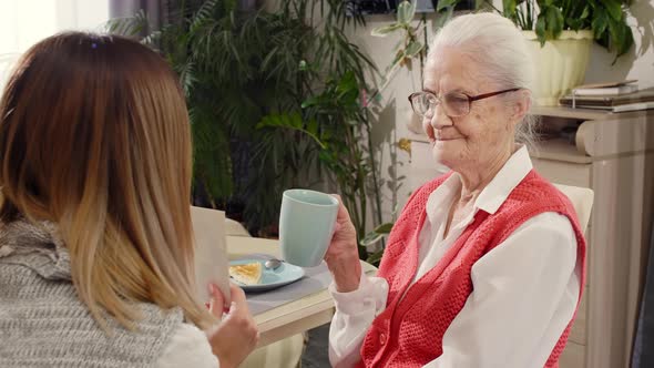 Happy Grandma Having Tea and Watching Family Photos with Daughter