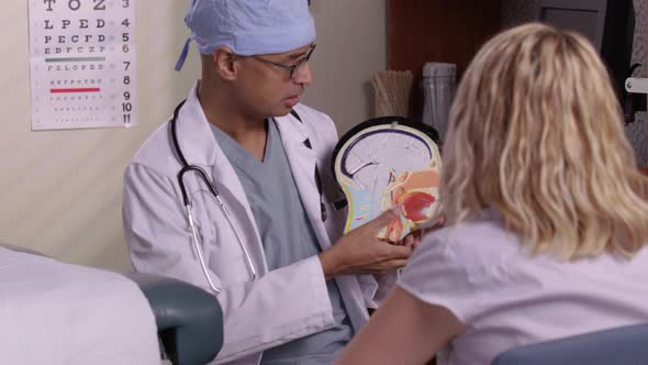 Doctor talks to patient showing her medical model