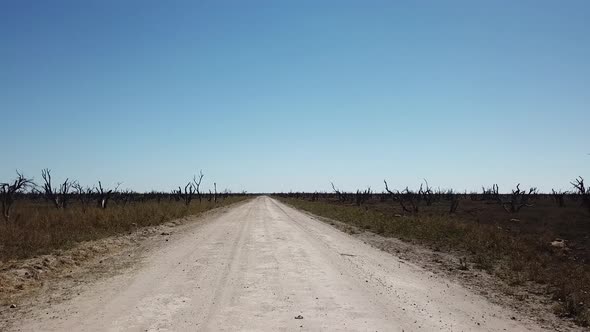 Long Desert Dirt Road Aerial View in Botswana Amazing Dry Lake. Cracks on Dry Land in the Desert. Dr alt
