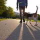 Happy dog walk with owner at sunny path in morning park, slow motion shot - VideoHive Item for Sale