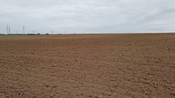 Plowed Field Prepared for Sowing with Winter Crops