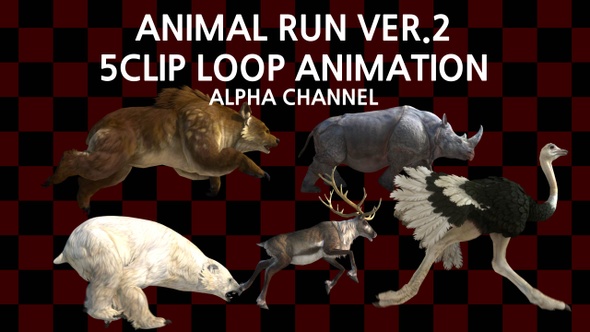 Animal Run V2 5clip Loop
