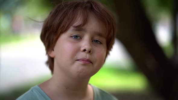 Cute Child Schoolboy, Portrait on the Background of Nature, Close-up Face of a Smiling Girl with alt