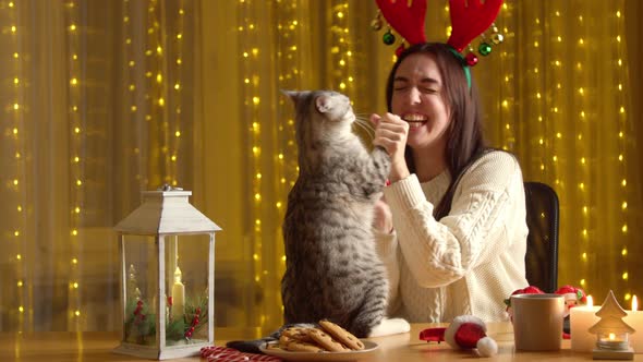 Happy Woman Playing Cat Alone Home During Christmas