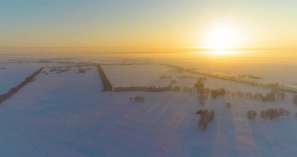Aerial Drone View of Cold Winter Landscape with Arctic Field Trees Covered with Frost Snow and alt