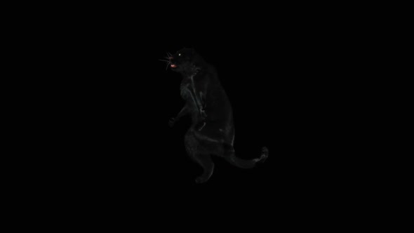 Panther Dancing HD alt