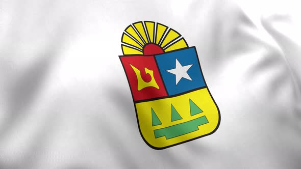 Quintana Roo Flag (Mexico) - 4K alt