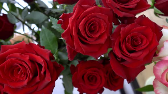 Close-up of a large number of red roses in a flower shop or on a holiday. alt