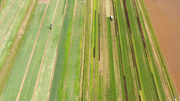Agricultural Land with Green Crops From Above alt