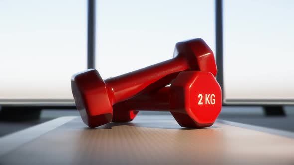 Red Gym Dumbbells On Step. Fitness equipment for wellness, healthm, body