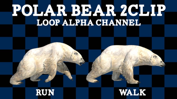 Polar Bear 2 Clip Loop