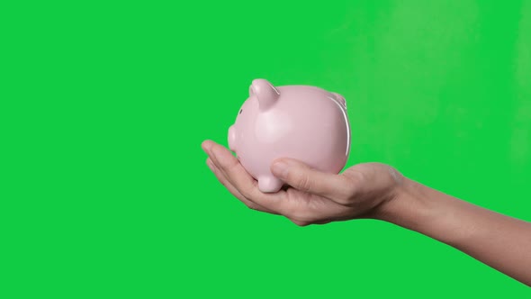 Asian woman hand putting money coin into piggy bank on chroma key green screen background.
