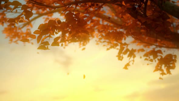 Golden Autumn Background alt