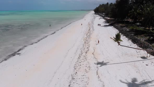Ocean Coastline with Paradise Beach Hotels and Palm Trees Zanzibar Aerial View alt