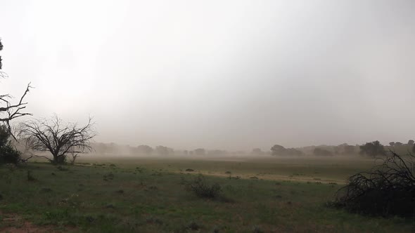 Kalahari summer weather: high wind, sand storm, and lightning strike alt