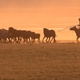 Mongolian Horsemen 1 - VideoHive Item for Sale