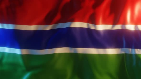 Gambia Flag with Edge Bump