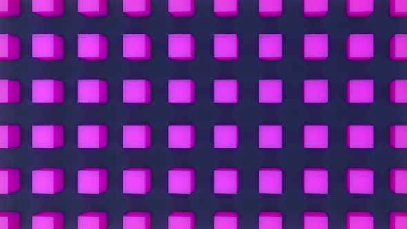 Seamlessly Looped 3d Animation of Rotation of Purple Cubes