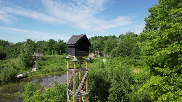 Elevated bat conservation maternity roost in forest during summer day alt