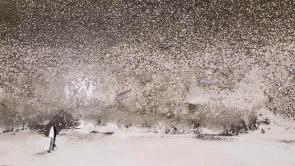 Low Tide in the Ocean Near the Coast of Zanzibar Tanzania Slow Motion alt