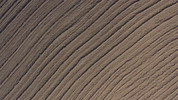 Parallel furrows in the fertil soil 4K aerial video alt