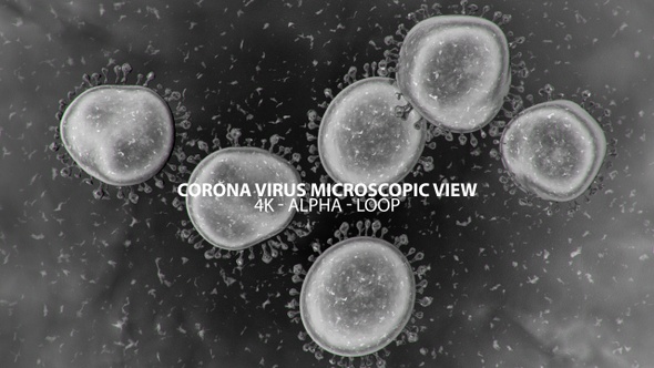 Corona Virus Microscopic View 4K