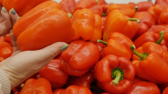 Female Hands Pick Red Bell Pepper in the Market By Taking One of the Two
