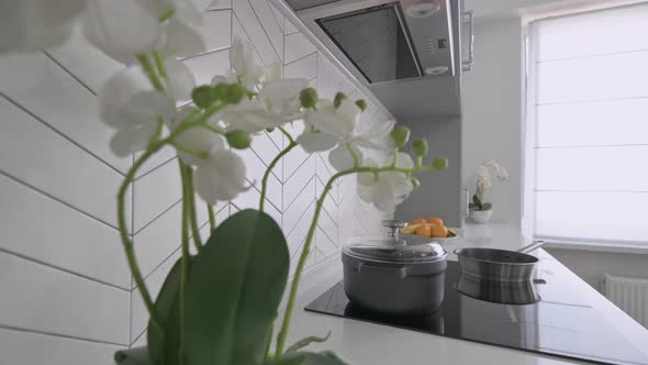 Closeup of Worktop at Luxury Modern Classic Gray Kitchen alt