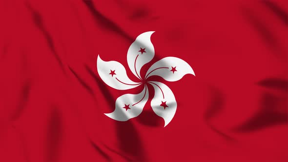 4K Hong kong Flag - Loopable