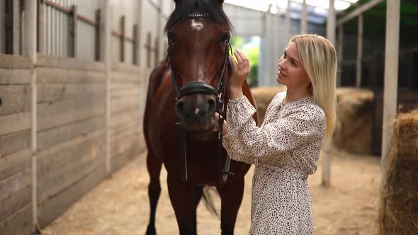A Young Rider Woman Blonde with Long Hair in a Dress Posing with Brown Horse Inside Light Stable alt