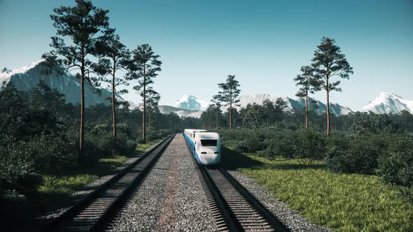 High Speed Passenger Train alt