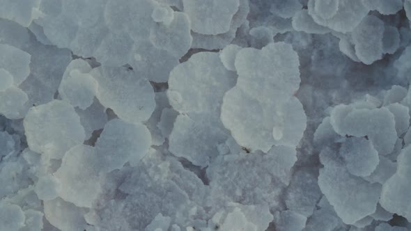 Unique Salt Crystals at a Salt Lake in Slow Motion
