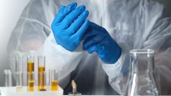 Medical researcher on white background puts on protective gloves in laboratory alt