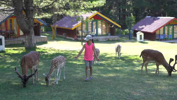 Childrens are Playing in a Contact Zoo alt