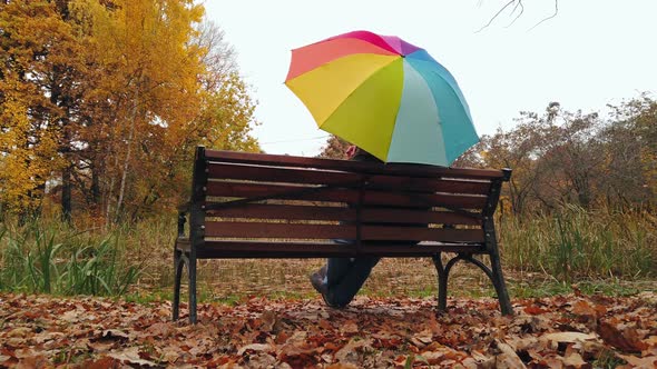Two Men Meet in the Autumn Park alt