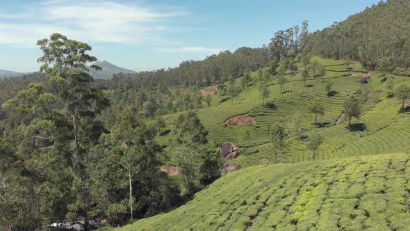 panning the beautiful landscape of a valley of the Western Ghats mountain range of Munnar alt
